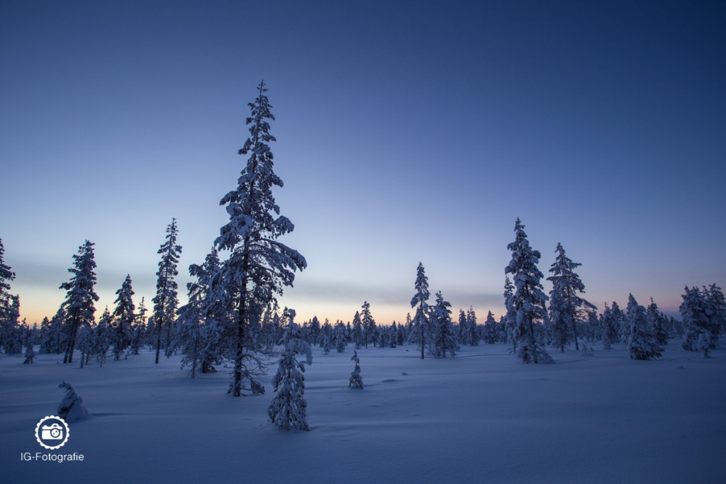 schweden-lappland-polarlicht-reise-43