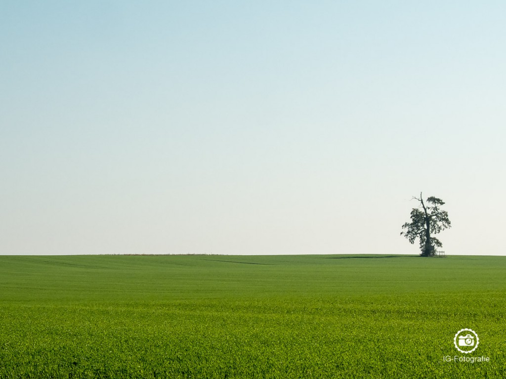 Fotokurs-Bildkomposition-Linien-3