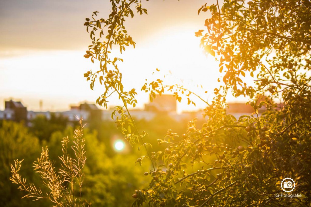 berlin-sonnenuntergang