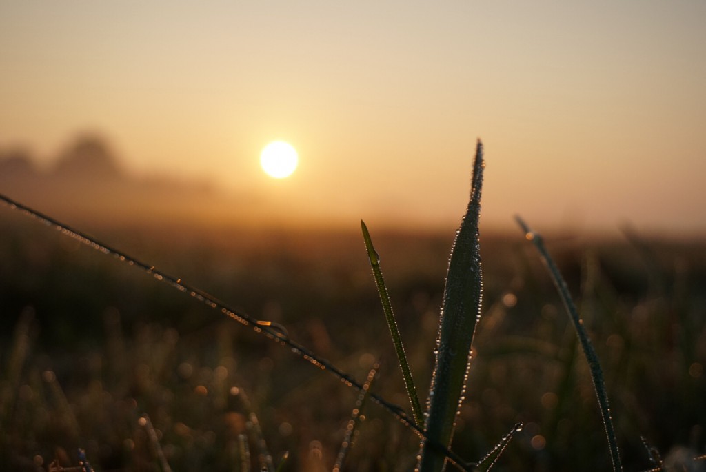 Sonnenaufgang-fotografieren-Tipps-Silhouette