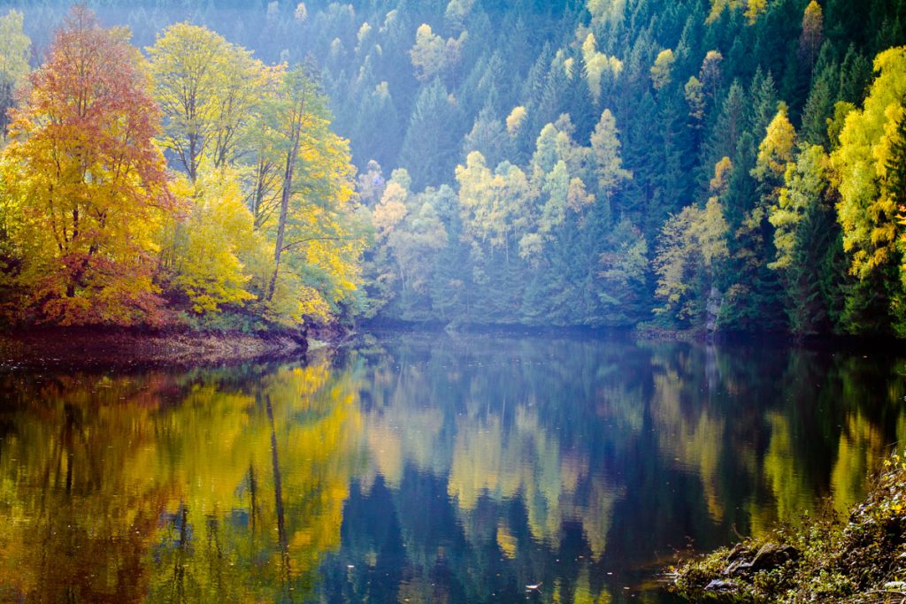 Im Harz hatte ich die großartige Gelegenheit die Farbvielfalt zu beobachten…