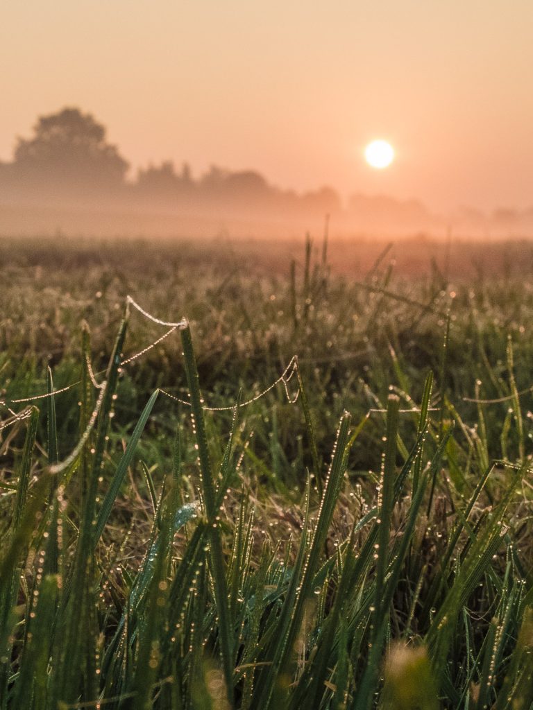 herbst-fotografieren-tipps-1