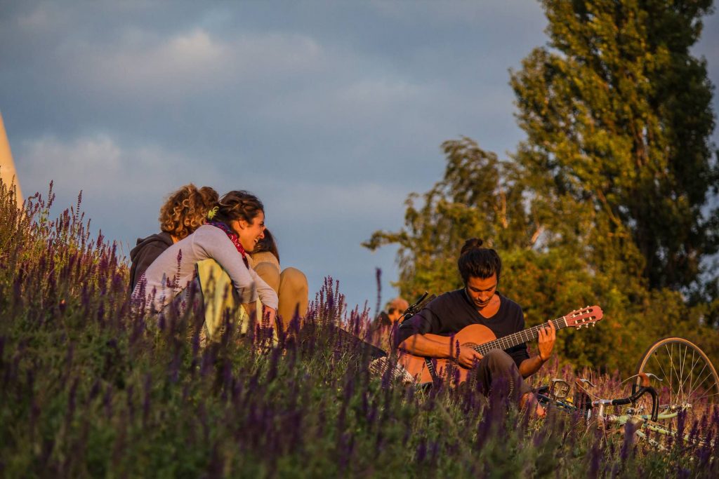 mauerpark-am-sommerabend