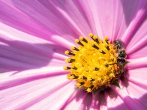 Fotografieren lernen im Online-Fotokurs für Anfänger