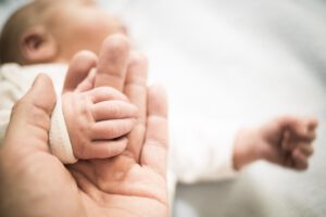 Fotografieren lernen im Online-Fotokurs für Anfänger
