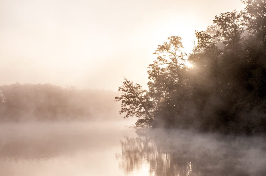 Frühlingsfotografie - Fotomotive für den Frühling. Foto: Todd Aarnes/unsplash