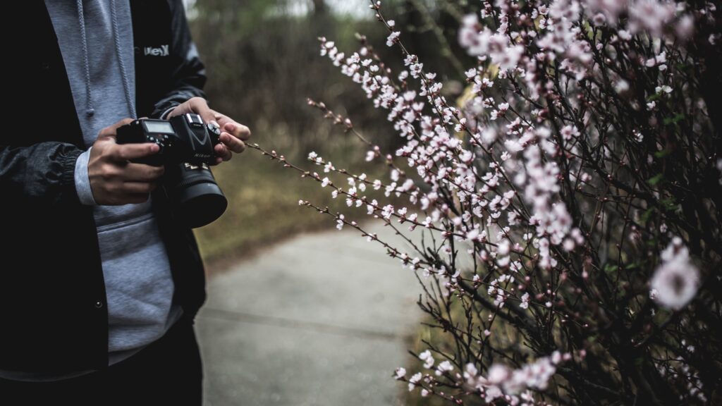 Atemberaubende Bilder und ein blühender Garten - Foto: Redd F/unsplash