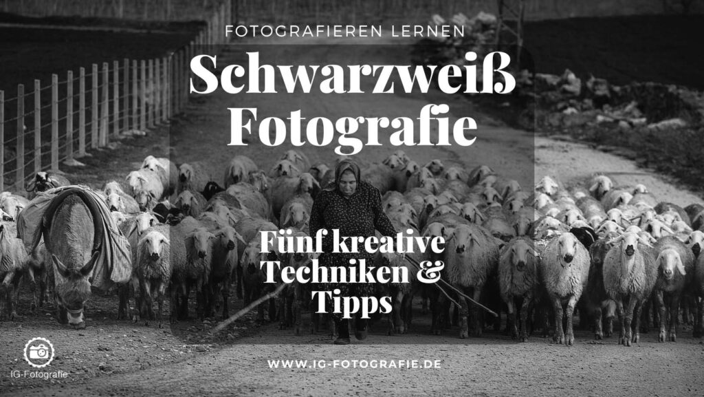 Schwarzweißfotografie-Tipps